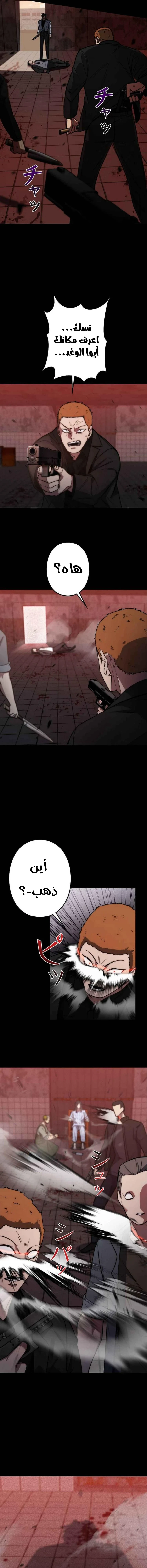 Chapter Image 11